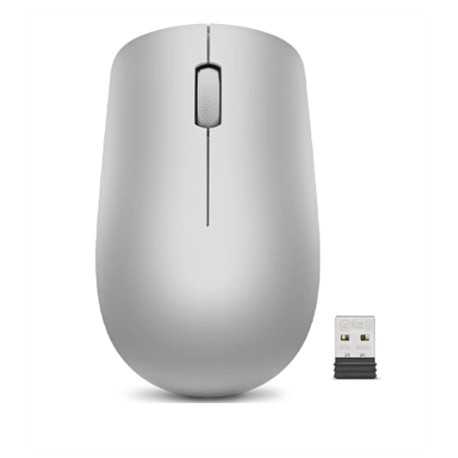 Lenovo | Wireless Mouse | 530 | Optical Mouse | 2.4 GHz Wireless via Nano USB | Platinum Grey | 1 year(s)