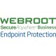 Webroot Business Endpoint Protection with GSM Console