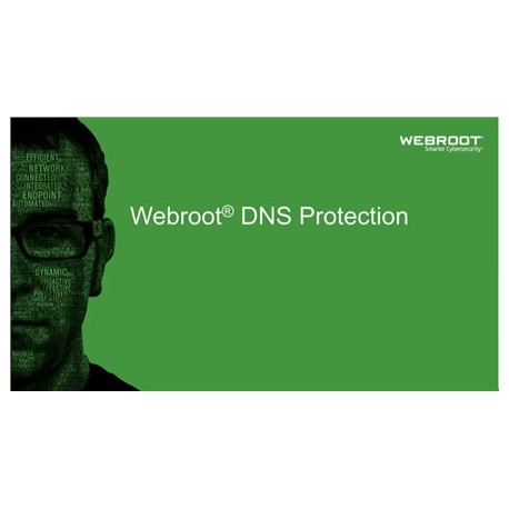 Webroot DNS Protection with GSM Console