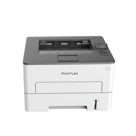 Pantum Printer P3300DW Mono