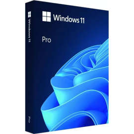 Microsoft Windows 11 Pro HAV-00163 USB Flash drive Full Packaged Product (FPP) 64-bit English